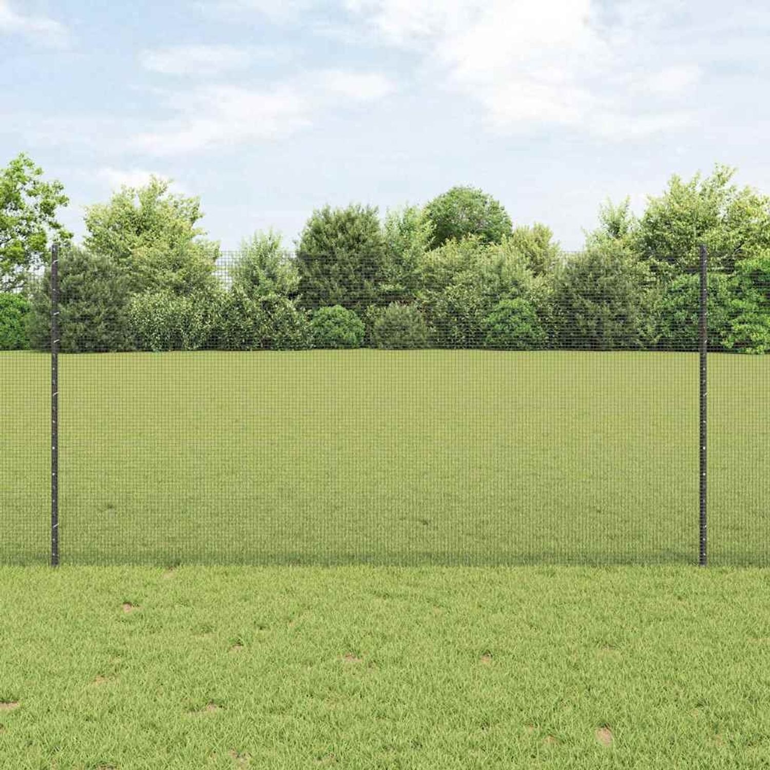 vidaXL Zaun mit Pfosten Grau 3336601 Bild 1
