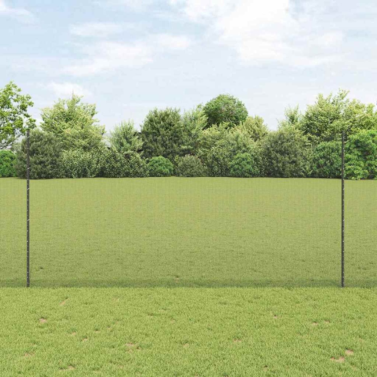 vidaXL Zaun mit Pfosten Grau 3336609 Bild 1