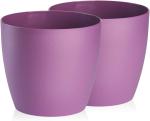 (2pack) Violett