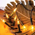 Grünes Kabel - Transparente Lampe