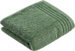 Evergreen - 5525