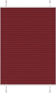 Rot
