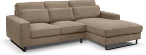Braun-Beige