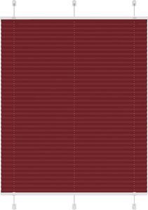 Rot