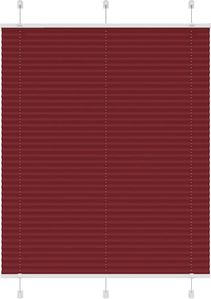Rot