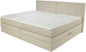 Beige 444/17