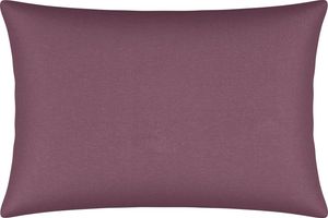 Aubergine