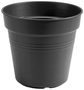Schwarz