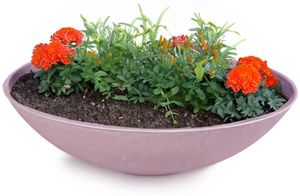 altrosa