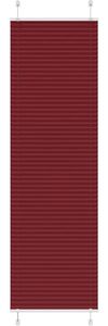 Rot