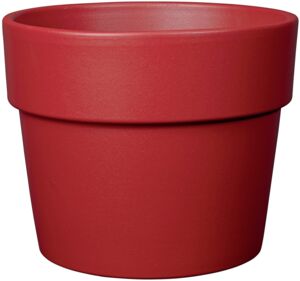 Rot