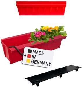 Rot