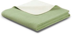 mint / ecru