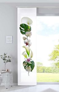 Orchidee Weiß