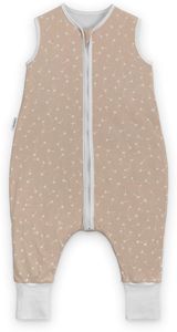 Beige Pusteblume