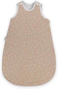 Beige Pusteblume
