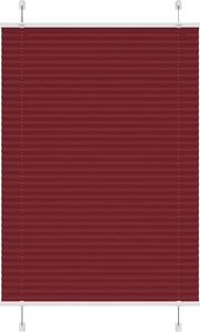 Rot