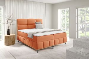 Apricot