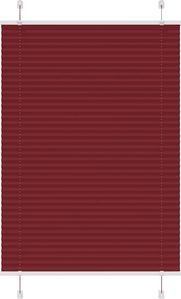 Rot