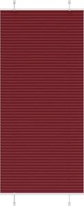 Rot