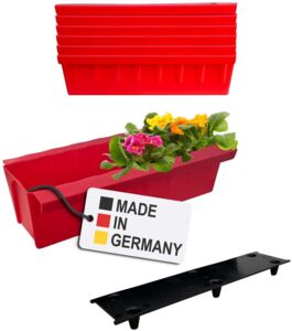Rot
