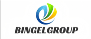 BINGEL GROUP