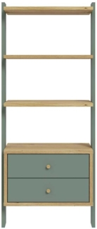 Regal Winston / Whenua , Holzwerkstoff , Grün, Holzfarben , 64 x 148 x 42 cm