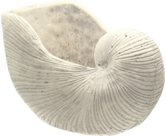 Dekoria Blumentopf Shellfish