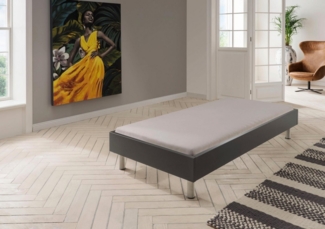 Wimex Bett Easy, große Auswahl an Größen und Farben, auch in Komforthöhe (Made in Germany), ohne Kopfteil, ideal unter Dachschrägen oder Fenster