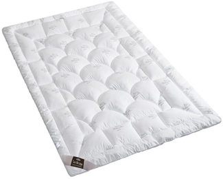 SEI Design Microfaserbettdecke Winter Bettdecke SWAN - warme Decke weich wie Daunen, Füllung: 100% Mikrofaser, Bezug: 100% Mikrofaser, ein Gefühl wie Daunen