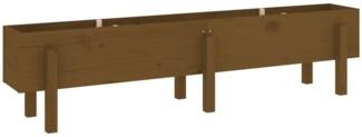 vidaXL Hochbeet Honigbraun 160x30x38 cm Massivholz Kiefer 825194