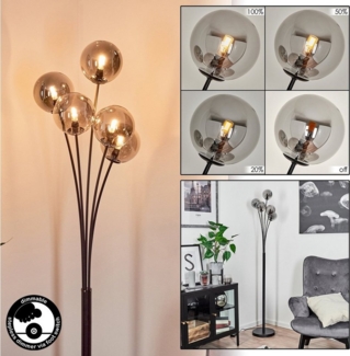 hofstein Stehlampe dimmbare Stehlampe aus Metall/Glas in Schwarz/Rauchfarben, ohne Leuchtmittel, Standleuchte Glaskugeln Ø12cm, dimmbar, 5xG9, ohne Leuchtmittel