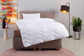 OTTO home Microfaserbettdecke + Microfaserkissen Mailo, Bettdecke 135x200 cm, 155x220 cm, Bezug: weich, 2-tlg, Set mit Kissen 80x80 cm, Sommer, Winter