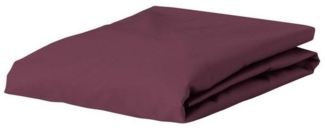 Essenza Spannbettlaken Premium Percale, Perkal, Gummizug: rundum, (1 Stück), Uni Baumwollperkal