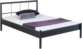 Bed Box Metall Bettrahmen Bettgestell Daisy 1009 Größe 120x220 cm