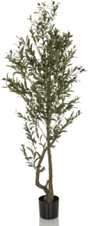 bümö plants Olive groß Kunstbaum - Täuschend echter Olivenbaum, geruchlose Premium Kunstpflanze für lebendiges Ambiente - authentische, künstliche Pflanzen als Deko für's Wohnzimmer, Büro & mehr, BUP-olive-gross