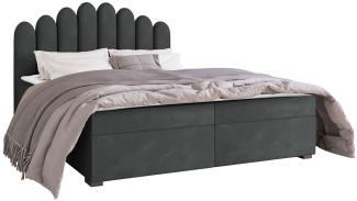 Mirjan24 	Boxspringbett Tosian, Grau, 140 x 200 cm