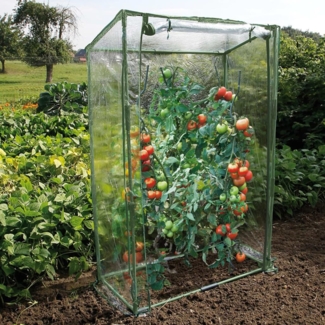 Nature Tomatengewächshaus 100×50×150 cm 428492