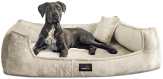FRANKLIN TEDDY Orthopädisches Hundebett - 05 Creme, 160x110 cm