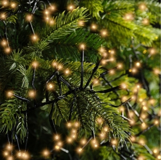 Lumineo LED-Lichterkette Lumineo Lichterkette Cluster 448 LED 3 m klassisch warm, schwarz, Dimmbar, Timer, Indoor, Outdoor