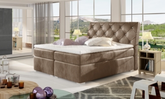 Balvin 160X200, Boxspring Bett, Braun