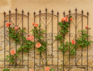 HTI-Living mit Herz-Ornamenten Rankgitter 3er Set