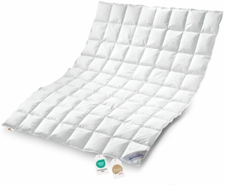 Daunenpass Sommer Daunen Bettdecke Sommerbett Sommerdecke 360g 200x200