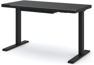 ASSMANN Höhenverstellbarer Schreibtisch Vindaro Schwarz 120x60x118cm Metall