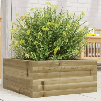 vidaXL Pflanzkübel 50x50x23 cm Kiefernholz Imprägniert 847187
