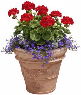 Pflanzgefäß Terrakotta "Doppio Bordo Festonato" 60cm