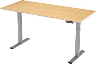 E.For.U® höhenverstellbarer Schreibtisch 180x80 cm, 2 Motoren, elektrisch höhenverstellbares Tischgestell mit 2-Fach-Teleskop, Memory-Steuerung (Silber), DT20L mit Tischplatte (Bambus)