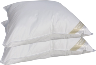 2 Stück Betten Hofmann Basic Allergiker Kopfkissen Polster 60x70 cm prall 600 g