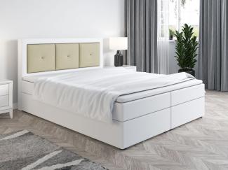 Boxspringbett Schlafzimmerbett MILES 160x200cm Weiss-Beige inkl. Bettkasten