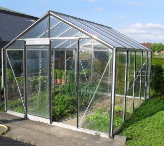 ACD Glas Gewächshaus R304H-B RAL | 298x306x259 cm